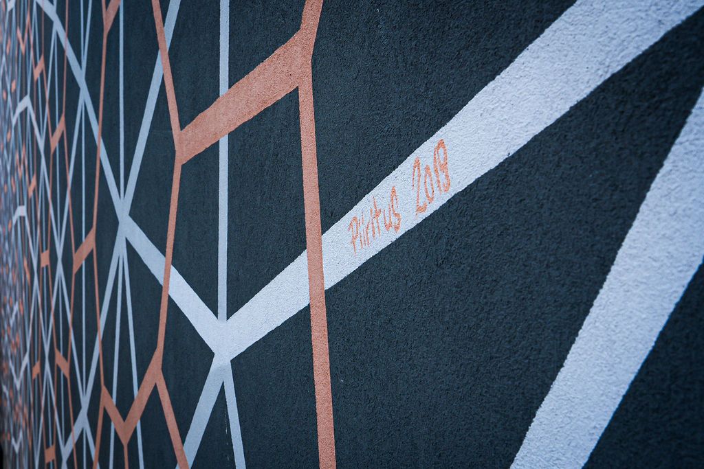 Thule Koda — foto 5